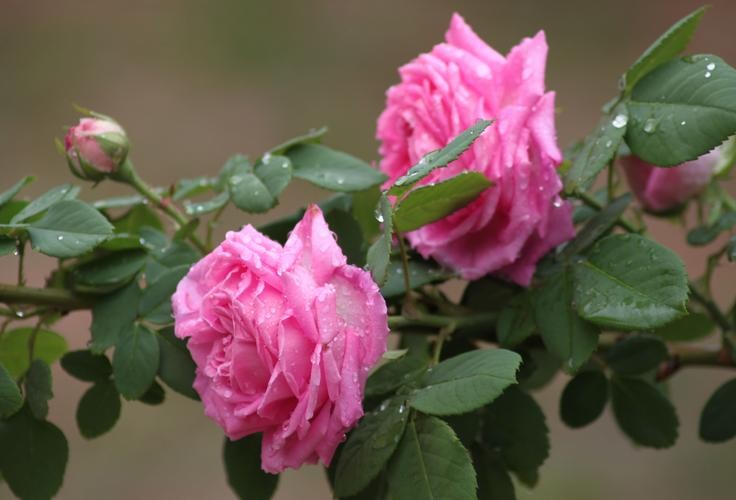 一个女人到底爱不爱你怎么看出来,女人爱你真实表现