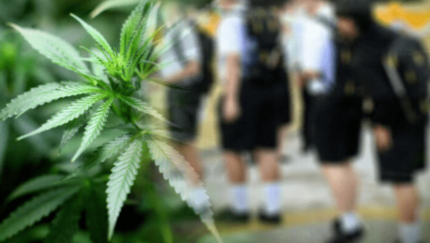 要为“娱乐*麻大**”开绿灯？泰国，看来真要成为一个“麻香之国”了