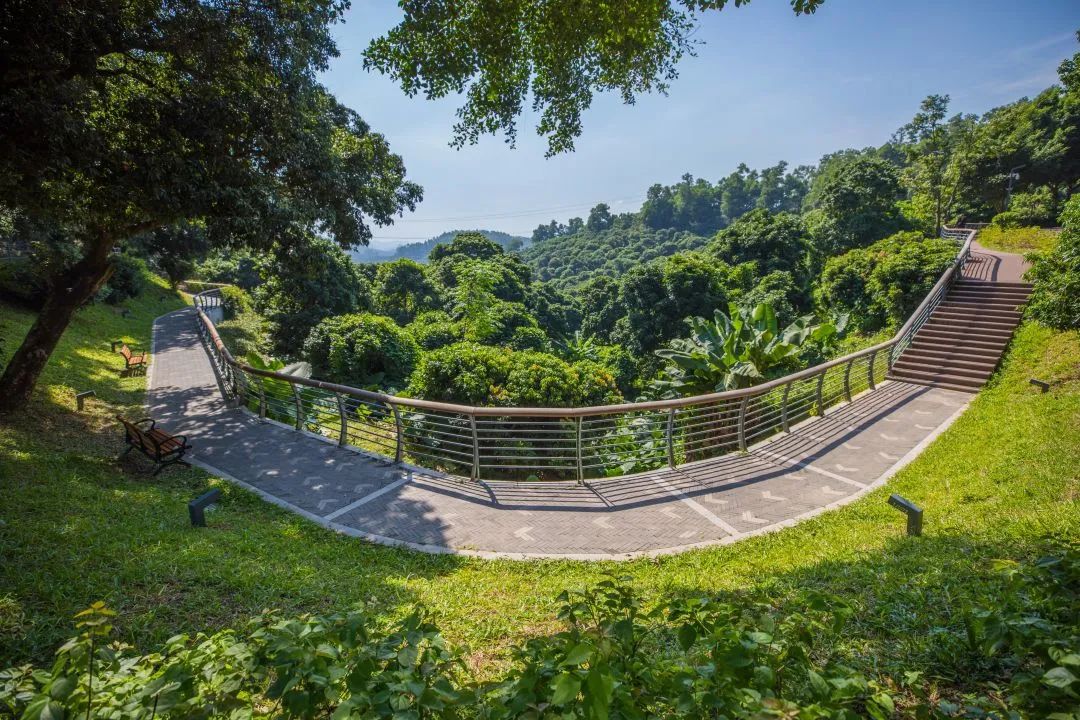 深圳淘金山绿道公园攻略,深圳淘金山绿道风景视频