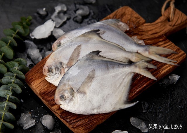 猫冬干粮价格表,俄罗斯猫粮贵吗