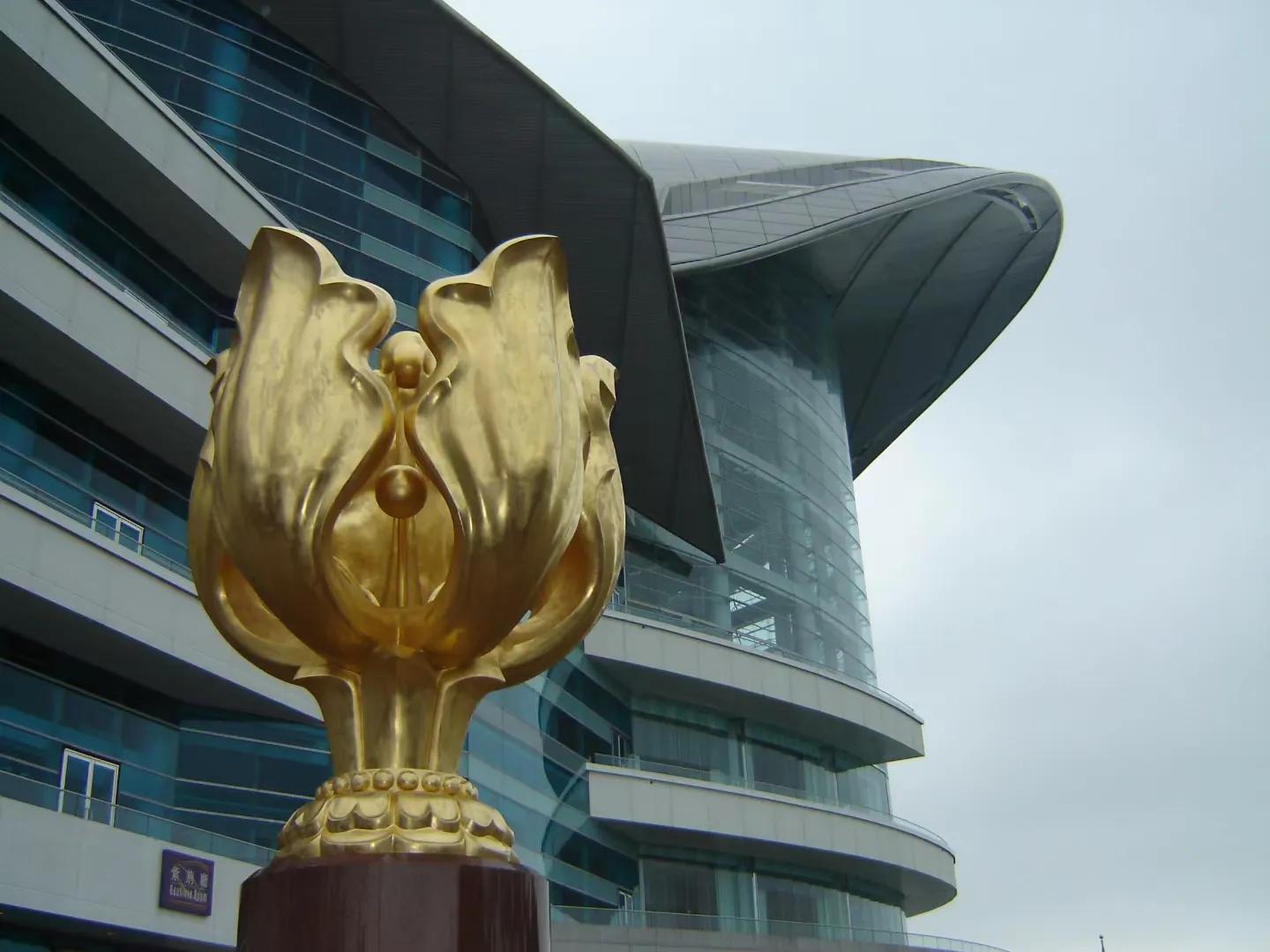 香港人的真实感受,亲历香港攻略