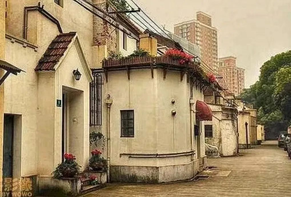 卫乐园独栋洋房,卫乐园老洋房