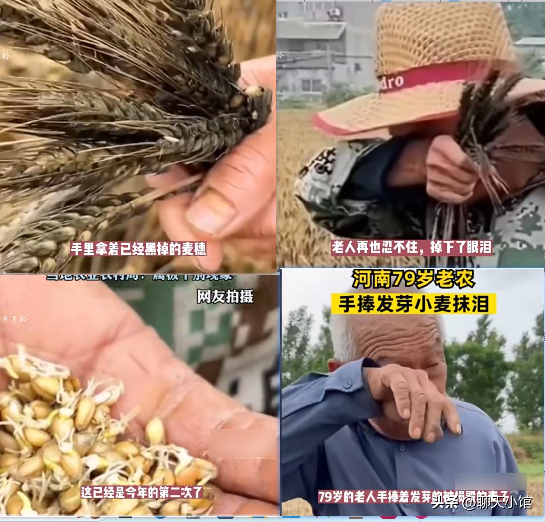 一张“农村小女孩帮忙麦收”照片惹众怒：收起你的傲慢与无知！