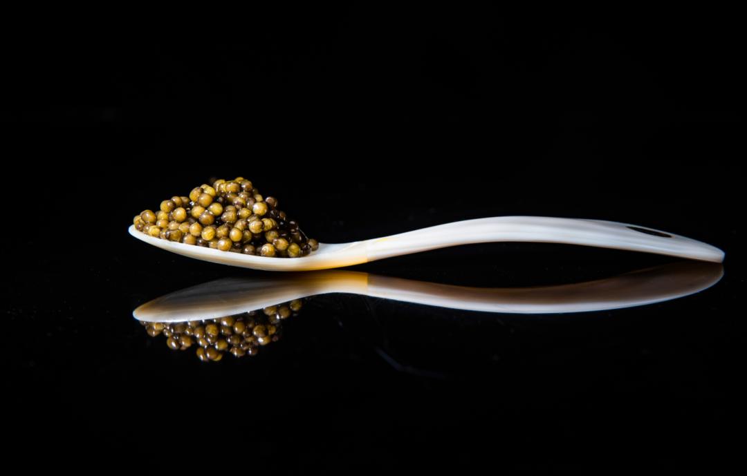 鱼子酱真的成了白菜价吗,鱼子酱怎么白菜价了