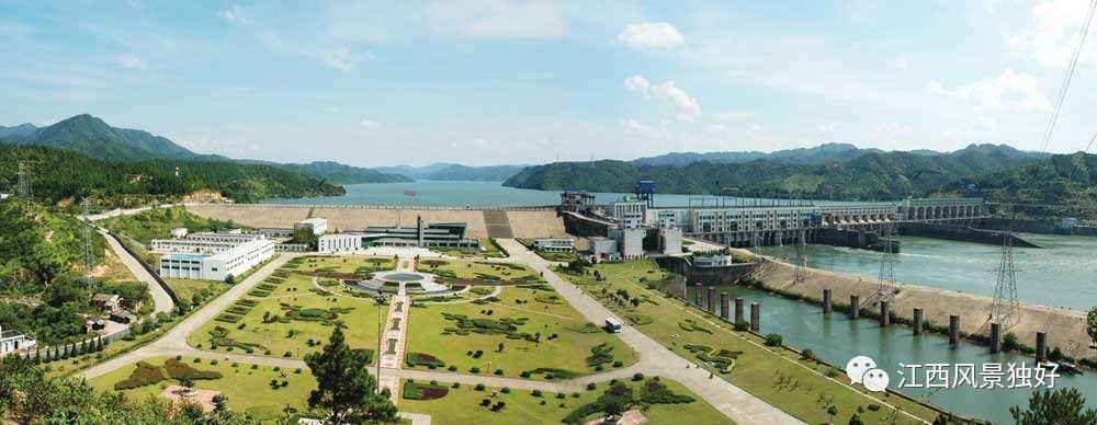 朱虹解读,朱虹讲述