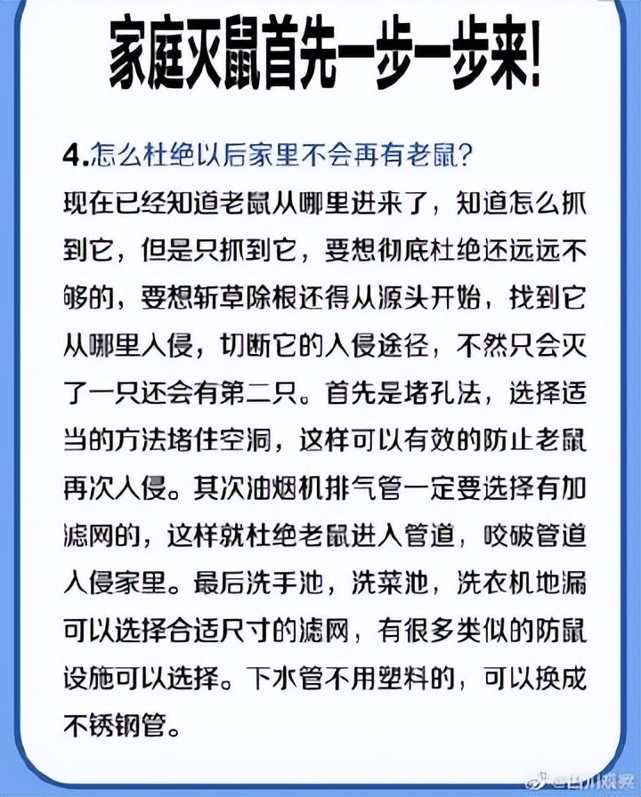 对付家里老鼠的最好办法,什么办法抓家里老鼠最有效