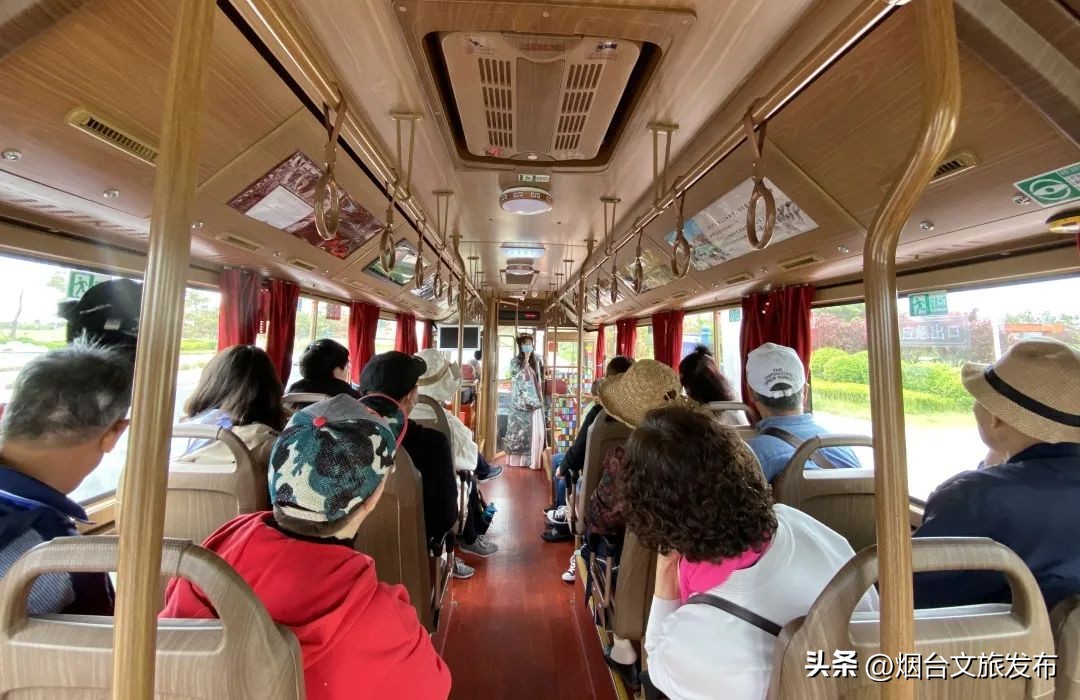 金沙滩攻略从早到晚,金沙滩必打卡