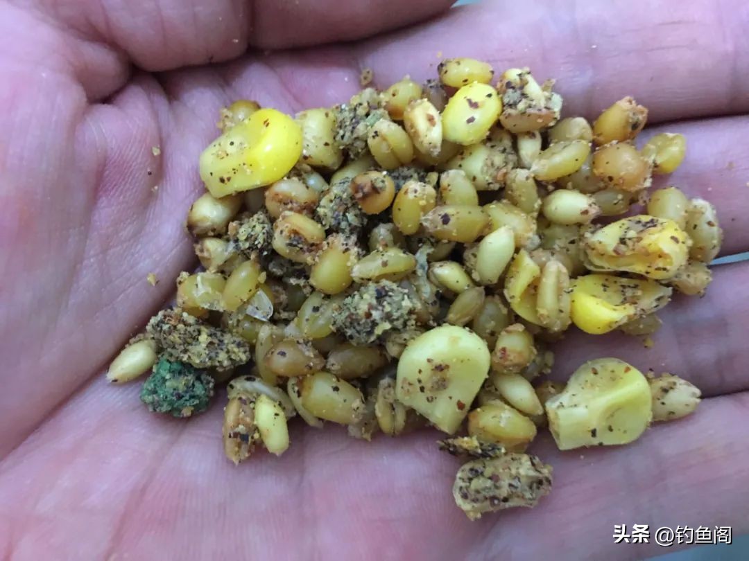 钓友公认十款最好窝料,野钓最值得推荐的玉米窝料