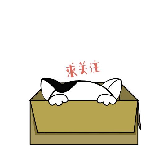 比熊犬要注意的事项,比熊犬撒娇的声音