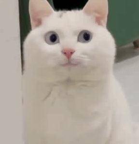 平安盛世金越真实收益,平安盛世金越能退吗