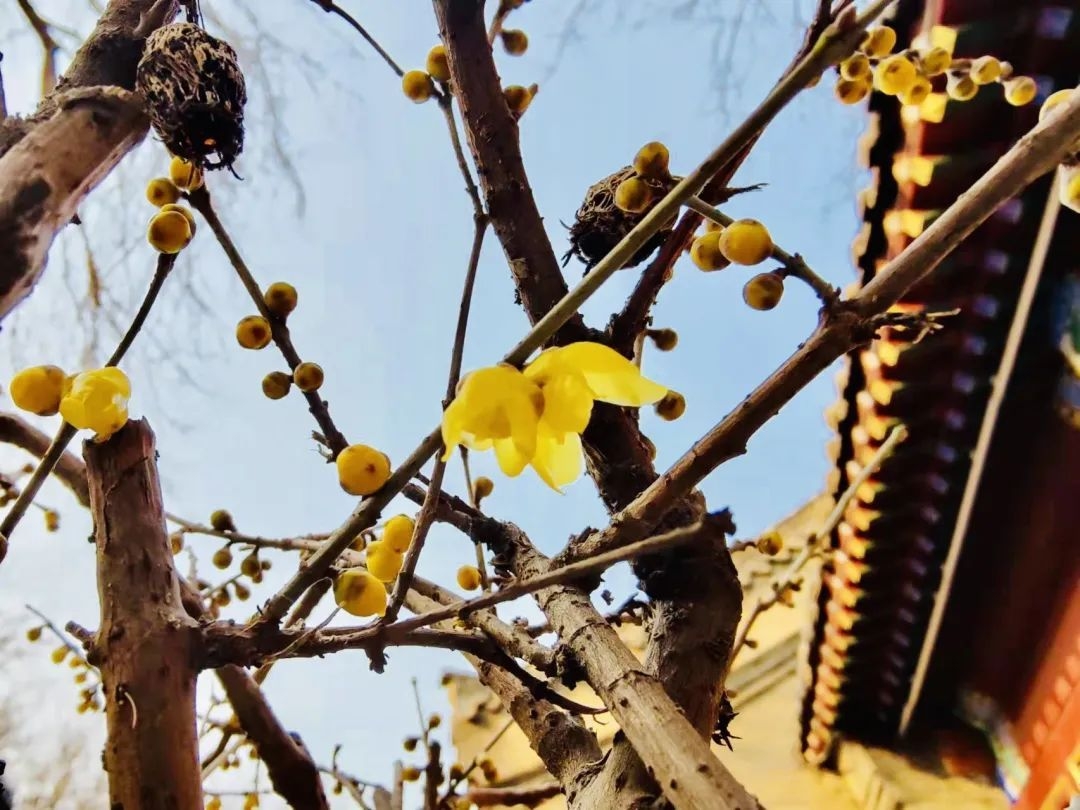 石家庄下雨哪里风景最美,石家庄冬季风景好的地方