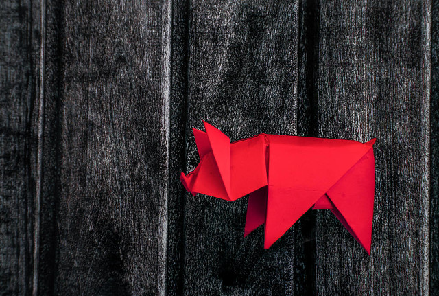 属猪的人好运连连大吉大利,生肖属猪的人一辈子都将顺风顺水