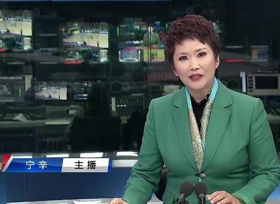 宁辛还在央视吗,主持人宁辛个人简介