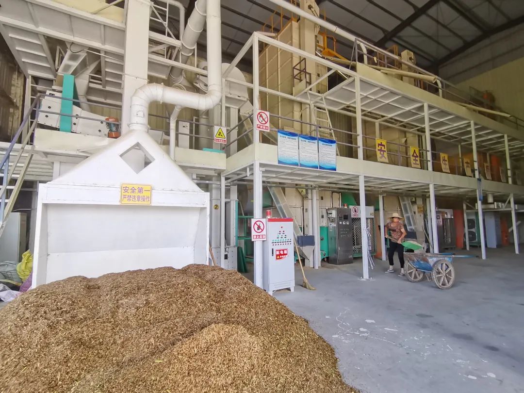 智库观察丨新兴县天堂镇如何从“农业大镇”变“农业强镇”