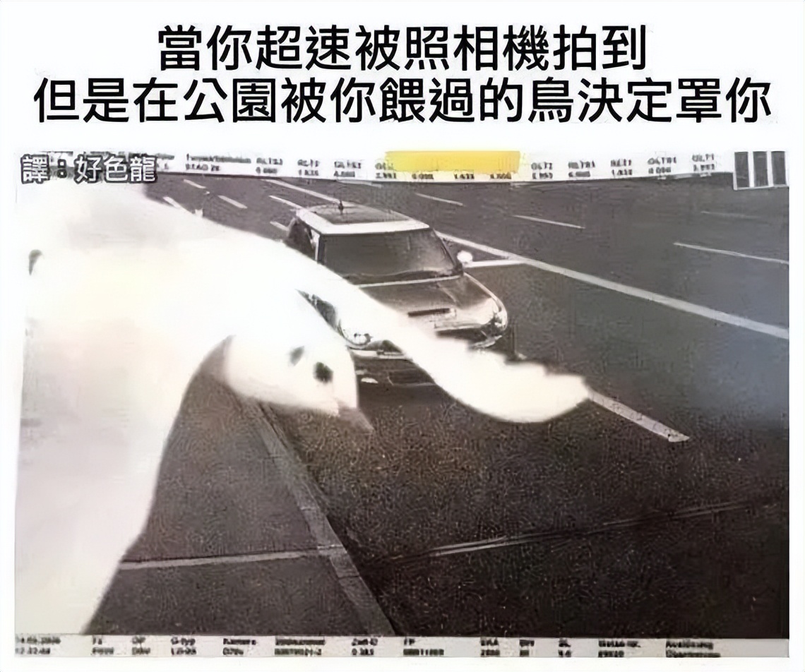 这个字怎么读图片,这个字怎么读蒟蒻