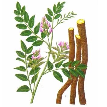 香料包的秘密在线阅读,香料包里的秘密实用性