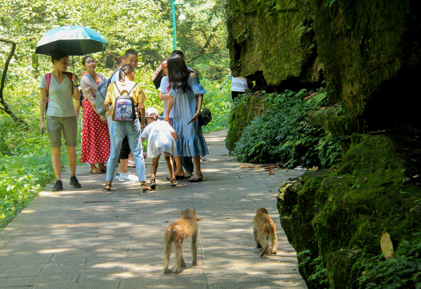 去张家界玩的攻略大全,湖南张家界旅游攻略4天3晚价格