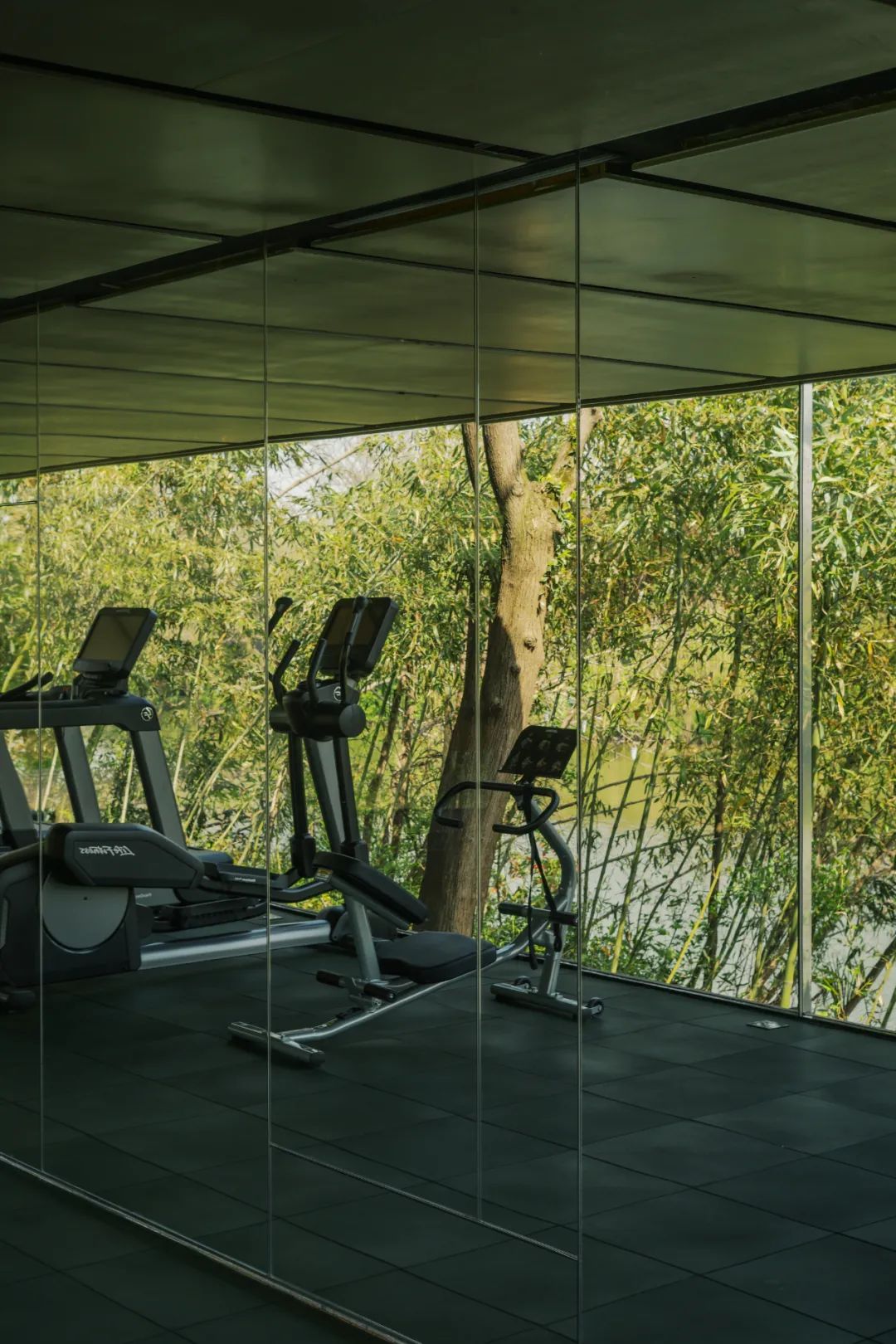 春天的潺潺溪水,春天的顶流