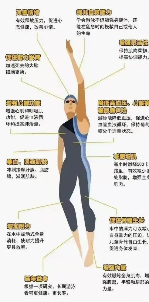 体坛巨星一年收入,泳坛巨星