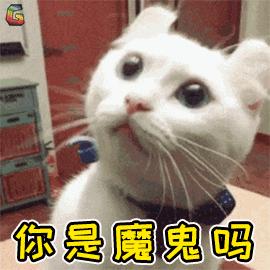 疫情期间，我赌了一把，用“白菜价抄底”给父母置换了一套养老房