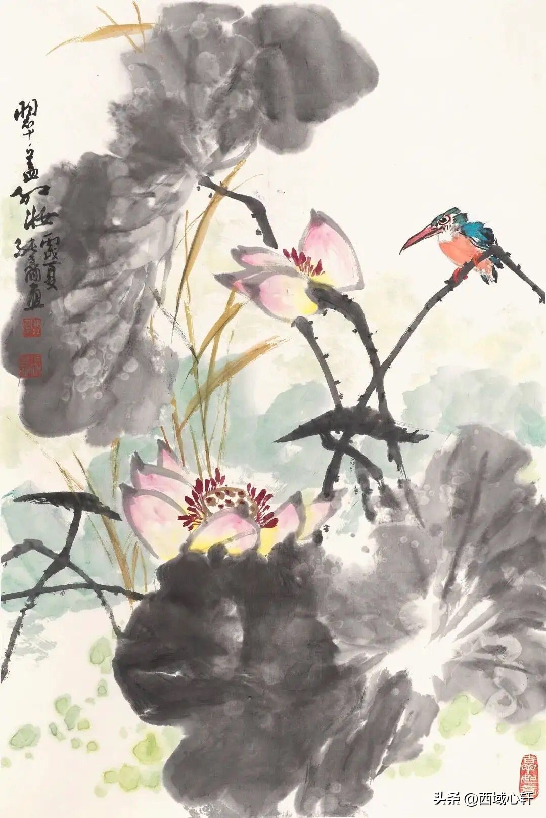 接天莲叶无穷碧映日荷花图片大全,莲叶无穷碧映日荷花别样红三幅图