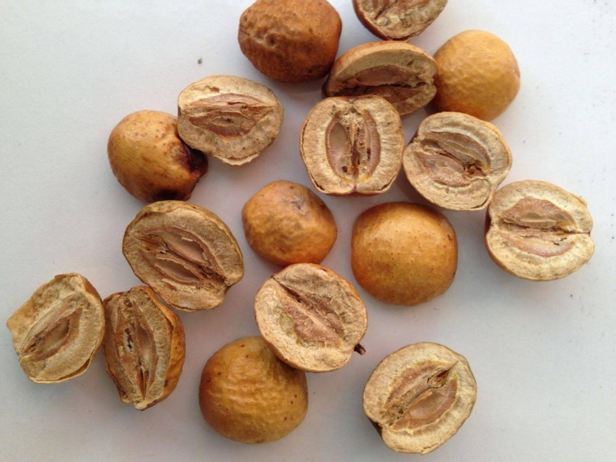 治肝肾阴虚的经方,治肝阴虚中成药