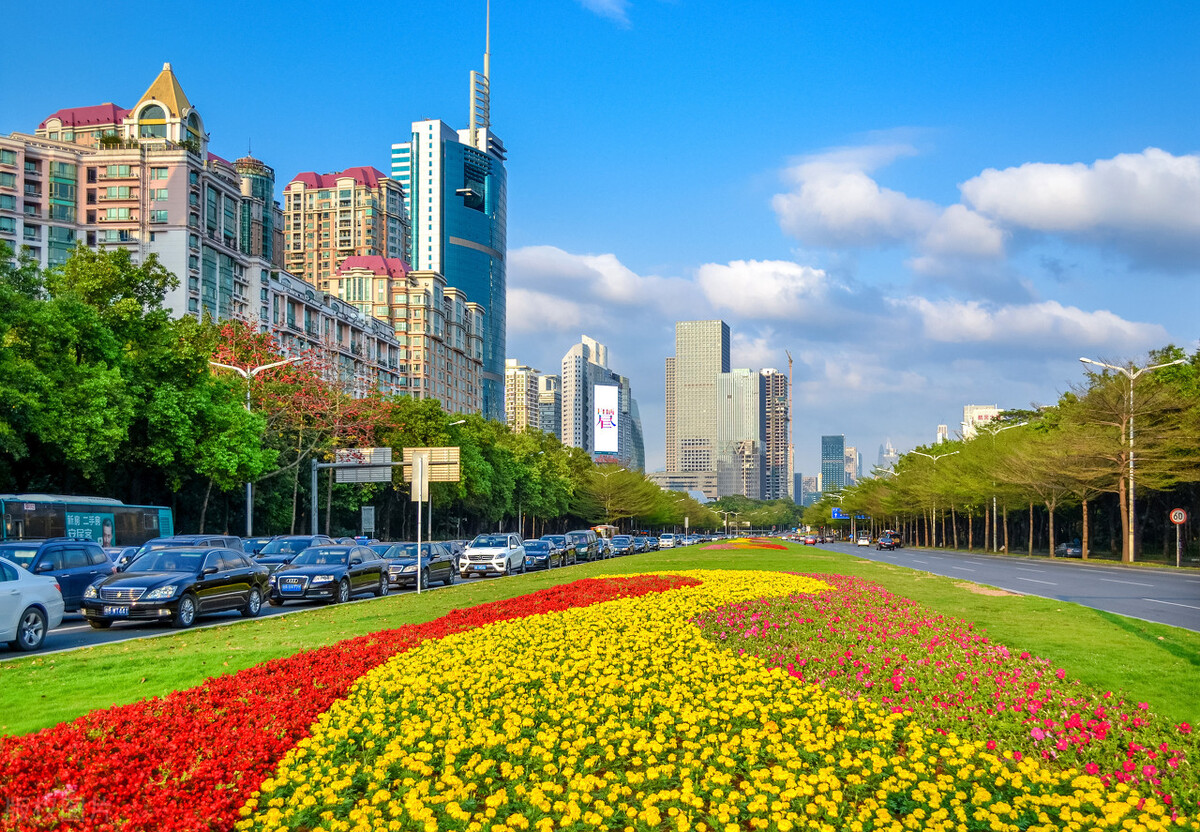 深圳奶茶最火品牌,深圳特色奶茶饮品有哪些