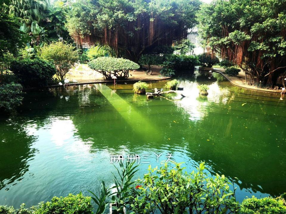 香港一日行攻略自由行省钱,从广州坐船去香港