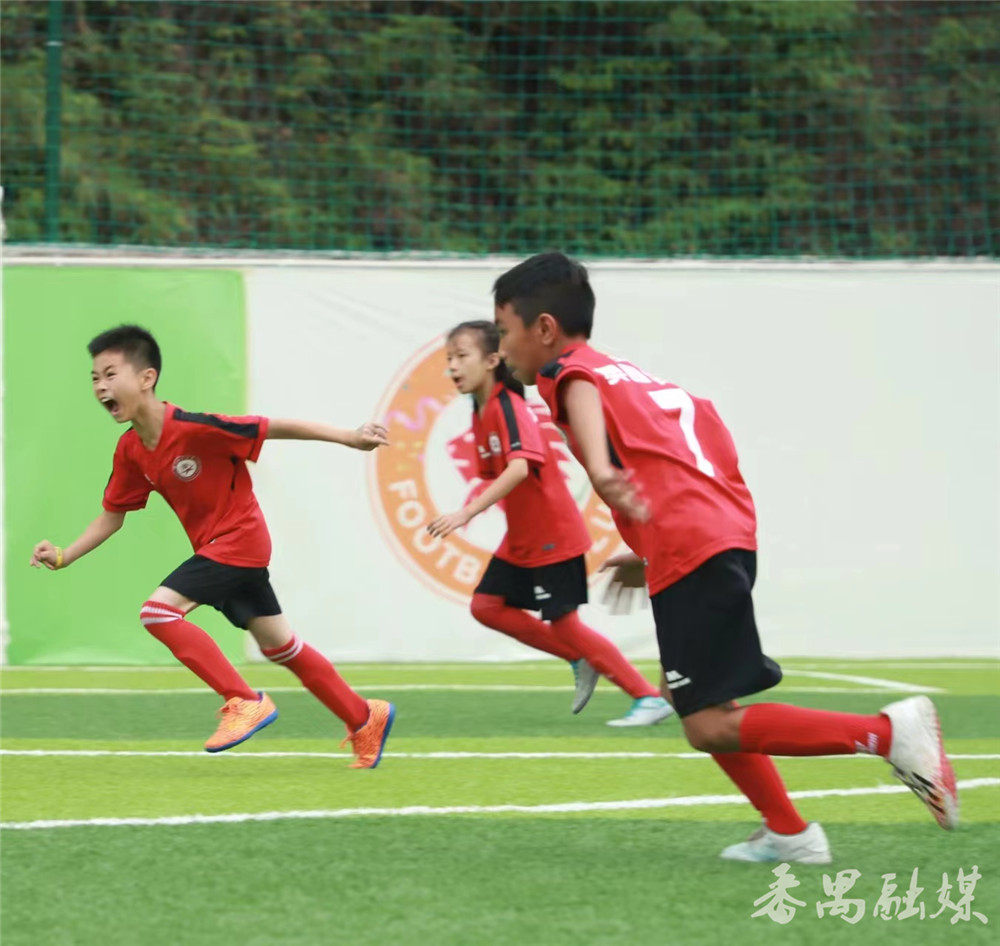 校园风采|番禺区奥园学校：奥运精神浸润下的“奥韵”教育特色学校