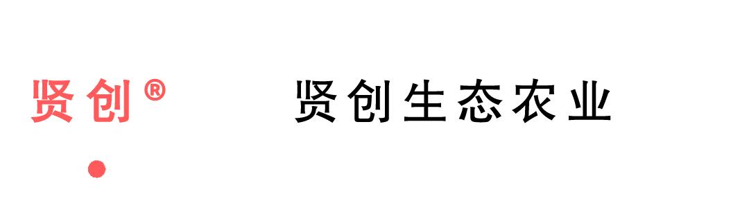 阳东牛大力基地,阳东牛大力最新消息