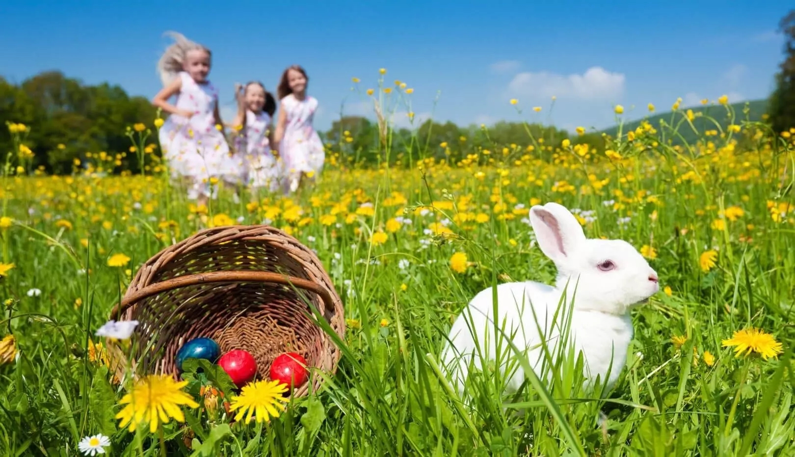 国外人过清明节吗,外国人在中国过清明节都干些什么