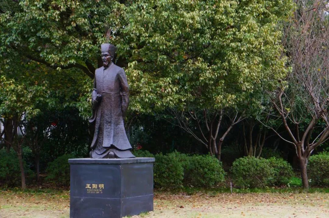 浙江高校引进高层次人才招聘,浙大宁波理工学院高层次人才引进