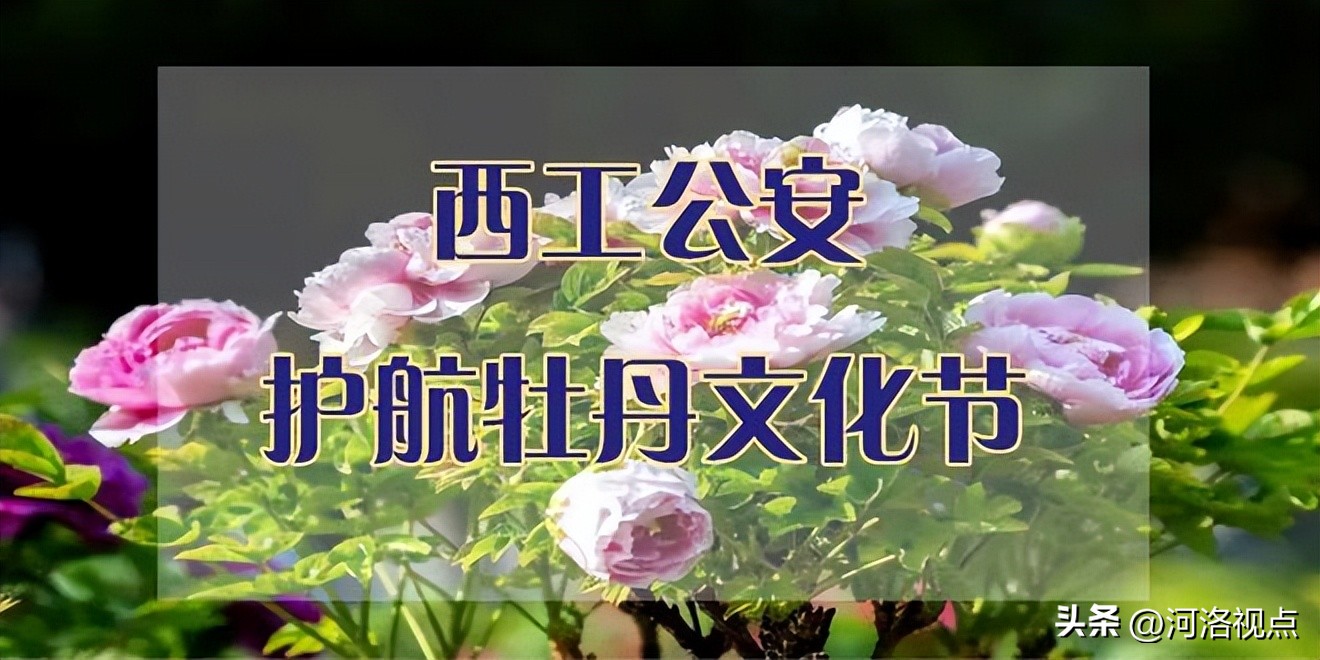 洛阳西工豫筑平安行动,豫筑平安集中行动