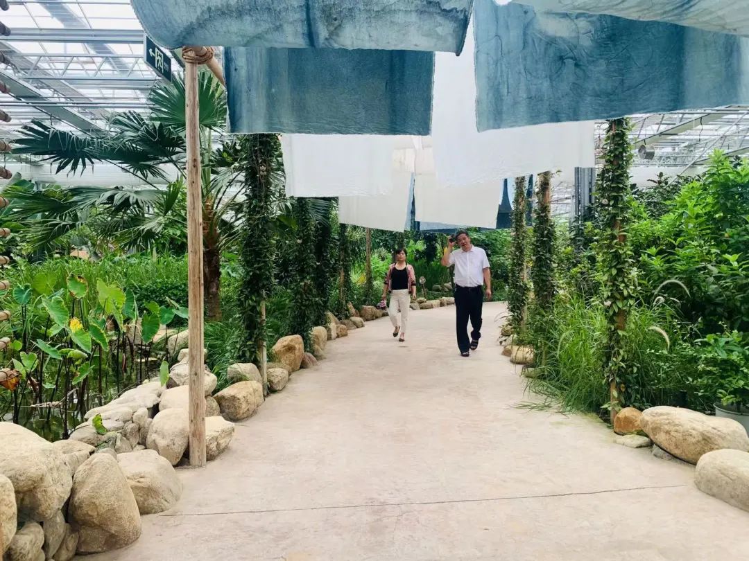 金湖水漾年华与建湖大纵湖,淮安金湖县的金湖水漾年华在哪里