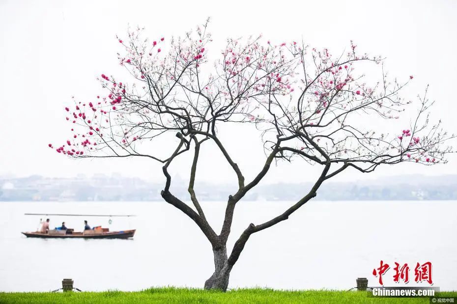 二十四节气从立春开始到大寒,二十四节气歌立春大雪