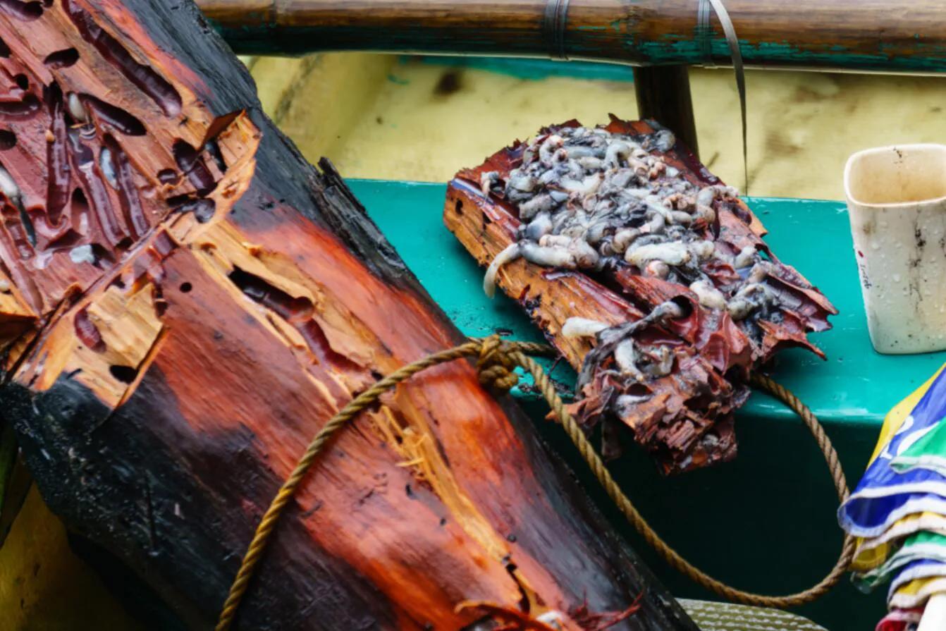 鍥藉榛戞殫缇庨鏂欑悊,鍥藉10閬撲护浜哄穿婧冪殑榛戞殫鏂欑悊