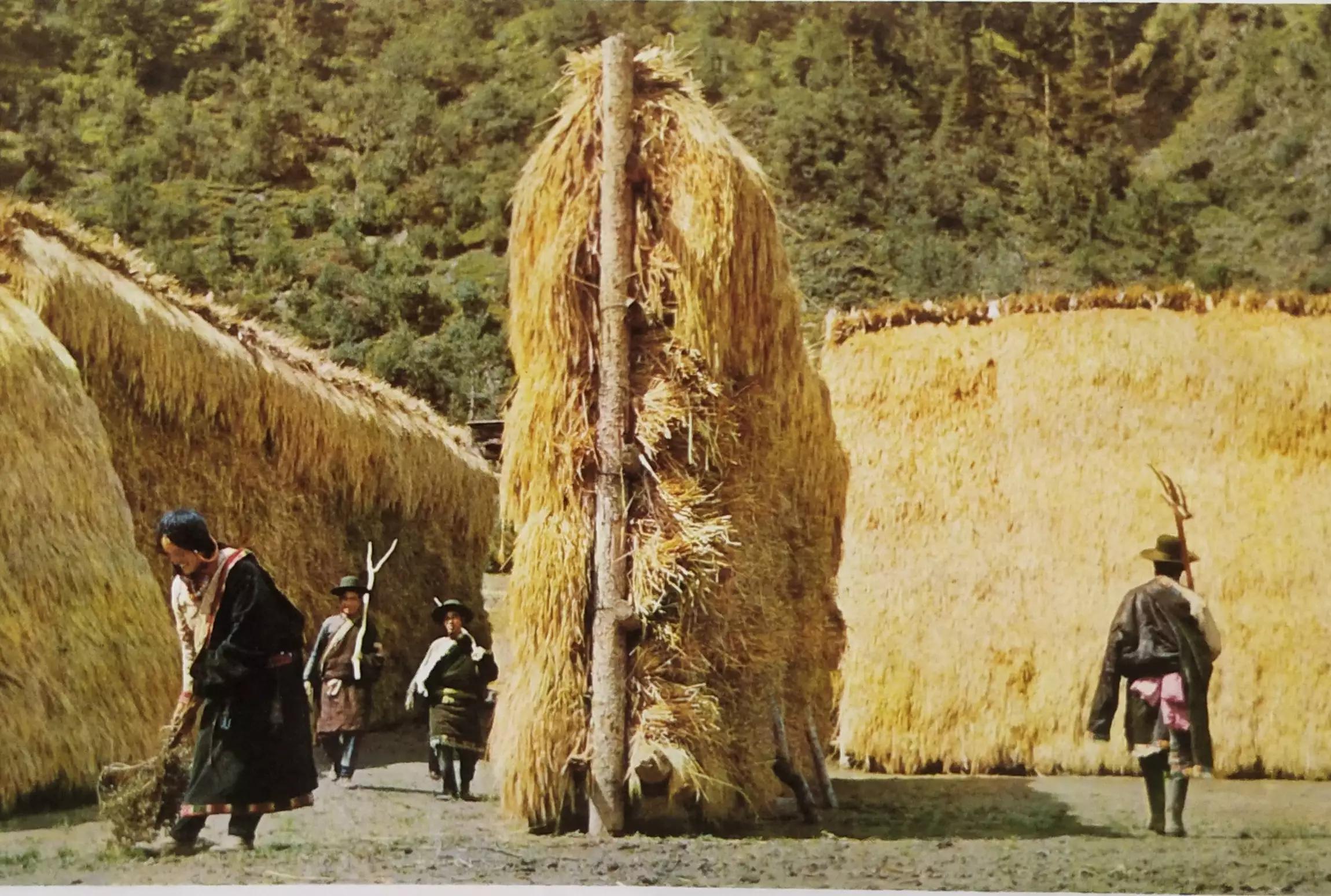 怀旧一下经典图片,怀旧经典图片欣赏