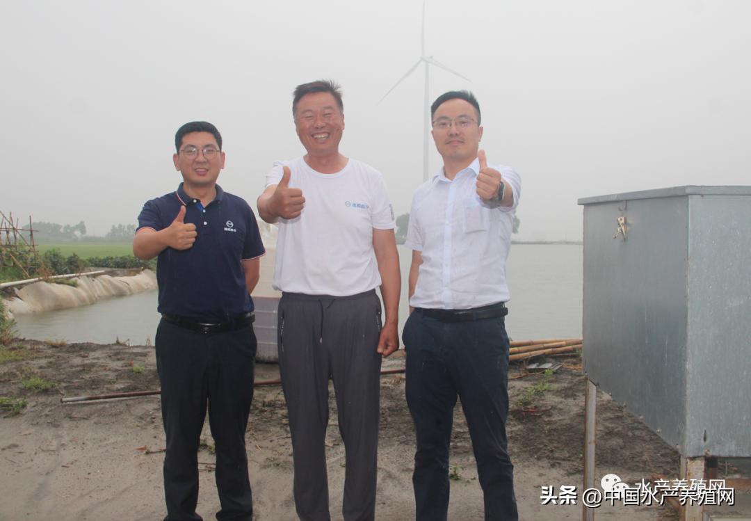 鲫鱼和草鱼哪个利润高,草鱼赚钱的方法