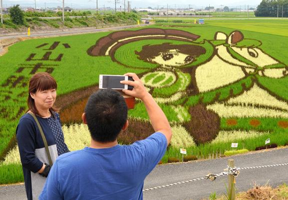 日本在什么国家大量购买土地,日本在海外购买的最大土地在哪里