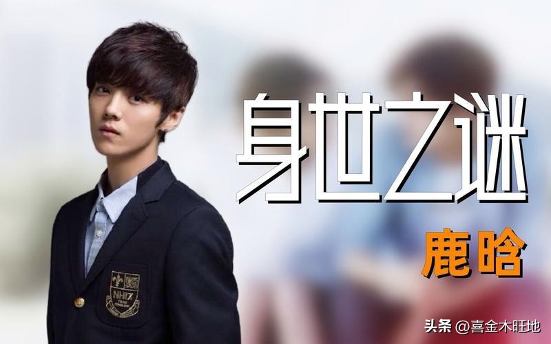 鹿晗身世的简介,王思聪对鹿晗的家世评价