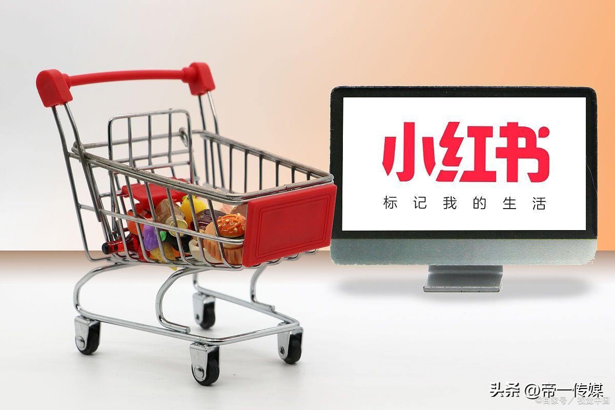 小红书怎么开网店新手入门,小红书商家入驻开店方法流程分享