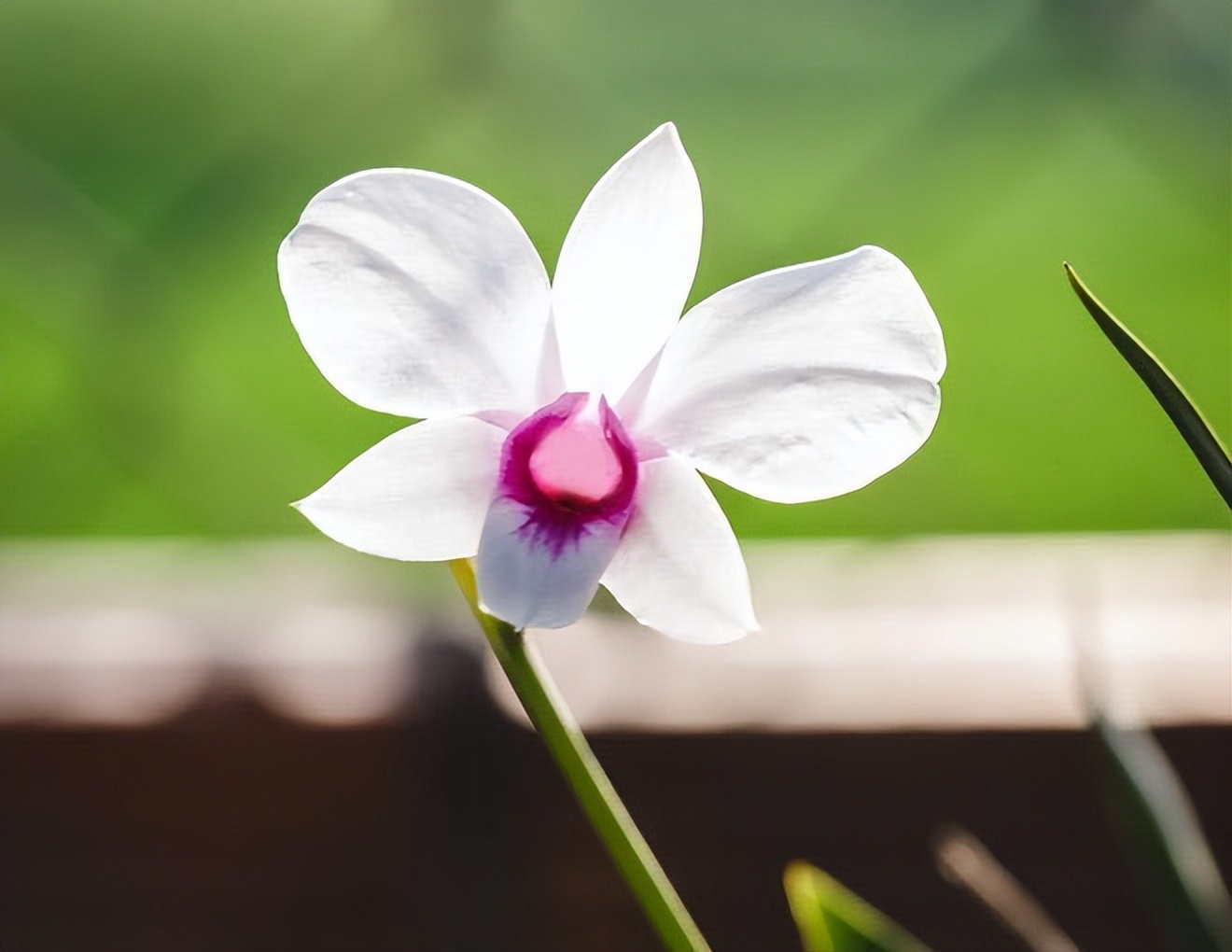 婚姻里什么才是女人的终极安全感,女人怎么样才能在婚姻里有安全感