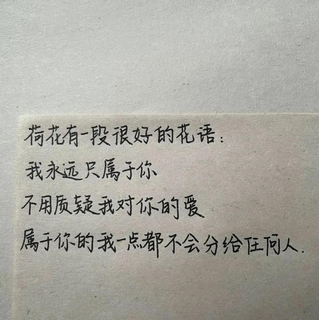 背景图优雅生活,生活随意的背景图高级感