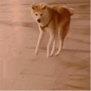 五一假期干货,五一假期有什么挣钱的小生意