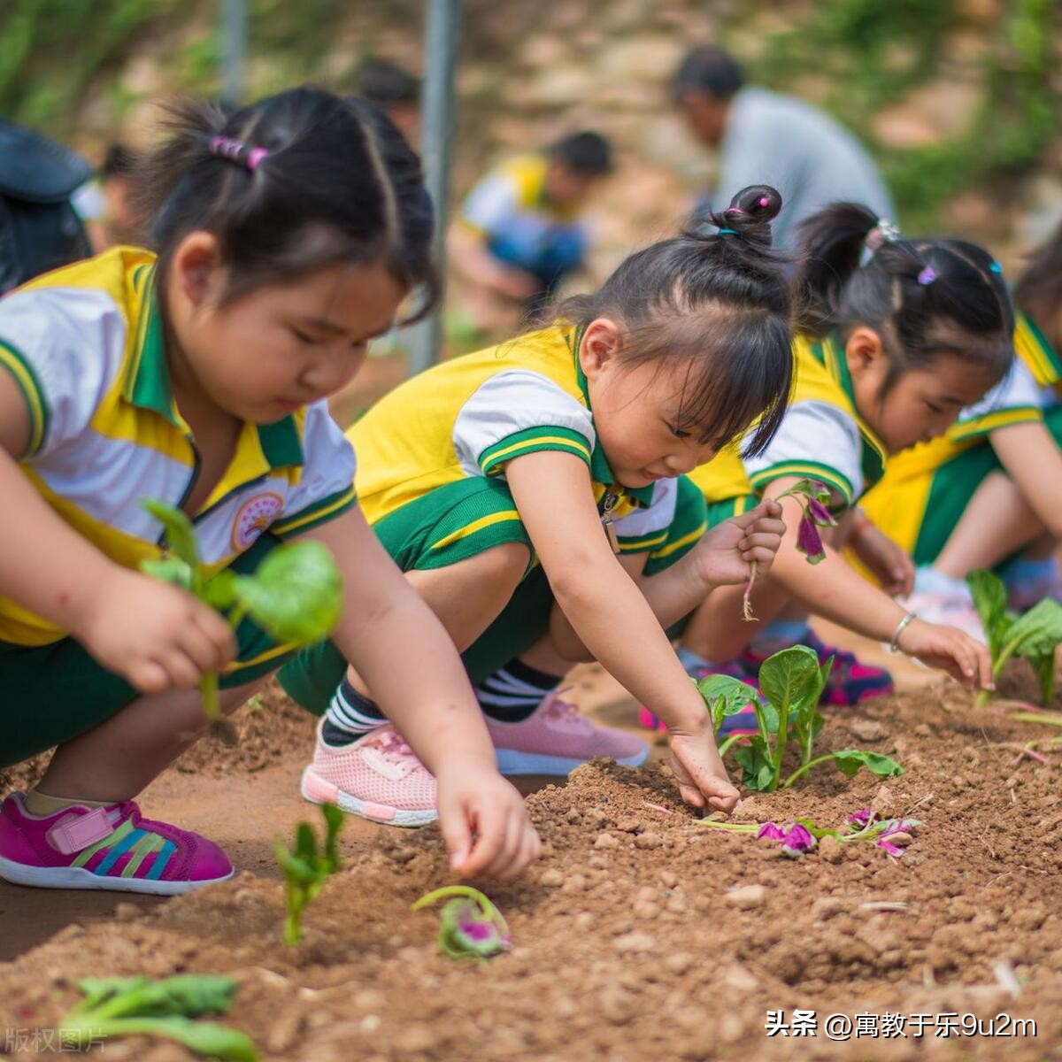 儿童成长教育与社区教育,城市的未来儿童教育模式