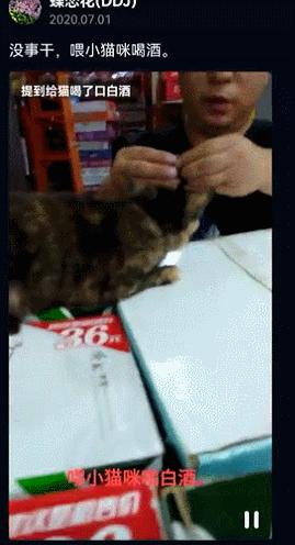 千万不要给猫吃的食物,这7种食物不要给猫吃