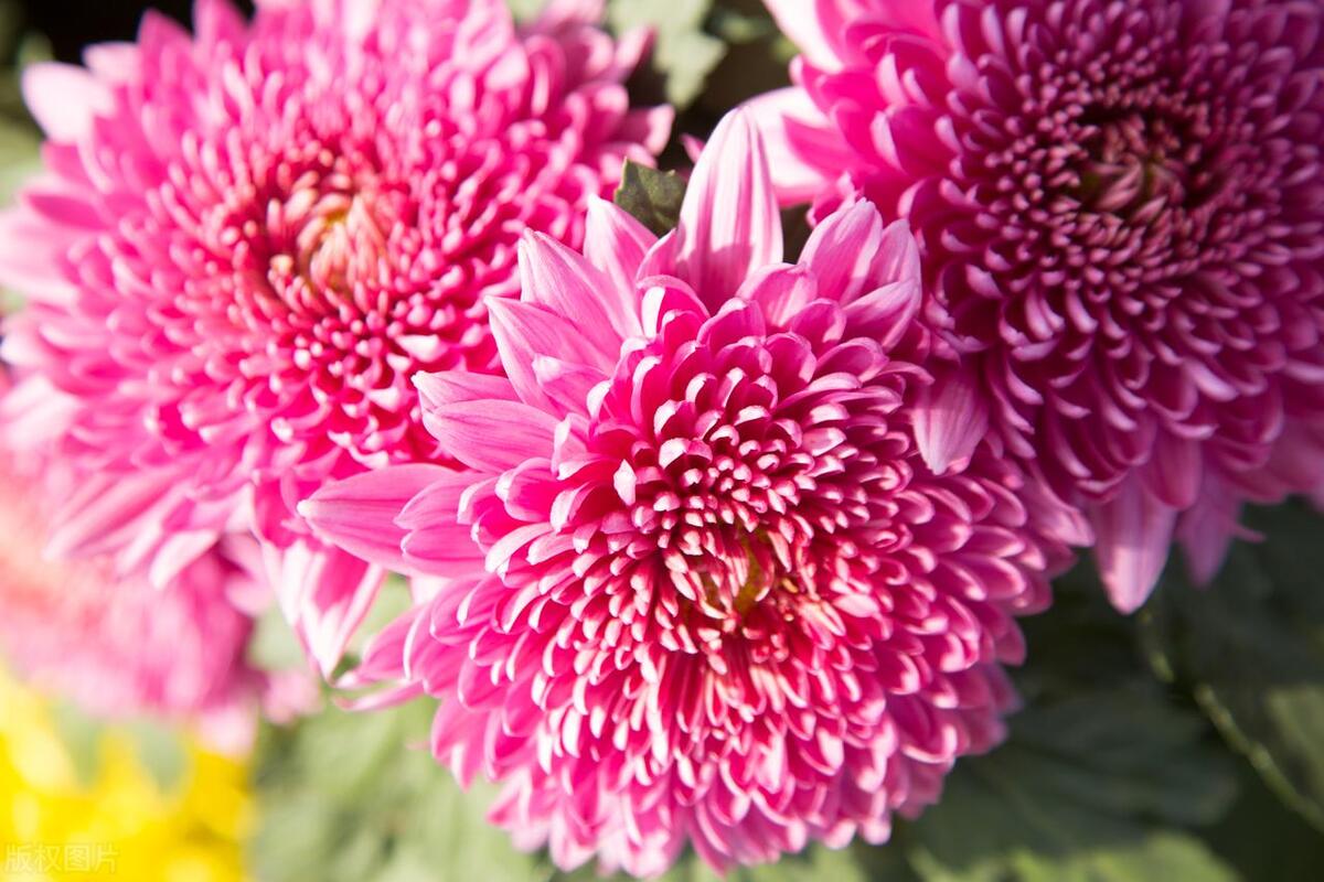 微小说复合的婚姻,微小说夫妻离婚