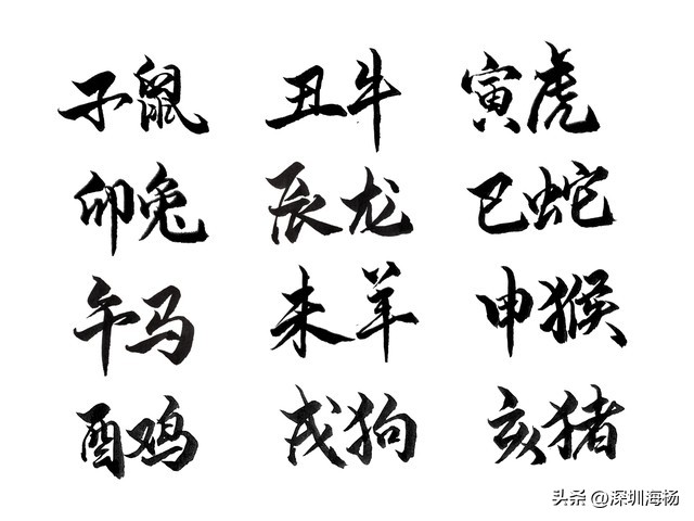 名人讲解十二生肖的由来的故事,十二生肖的历史由来科普知识借鉴