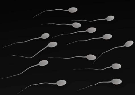 阴毛变白就表明性功能减退了？有关*处私**毛发的秘密，多了解没坏处