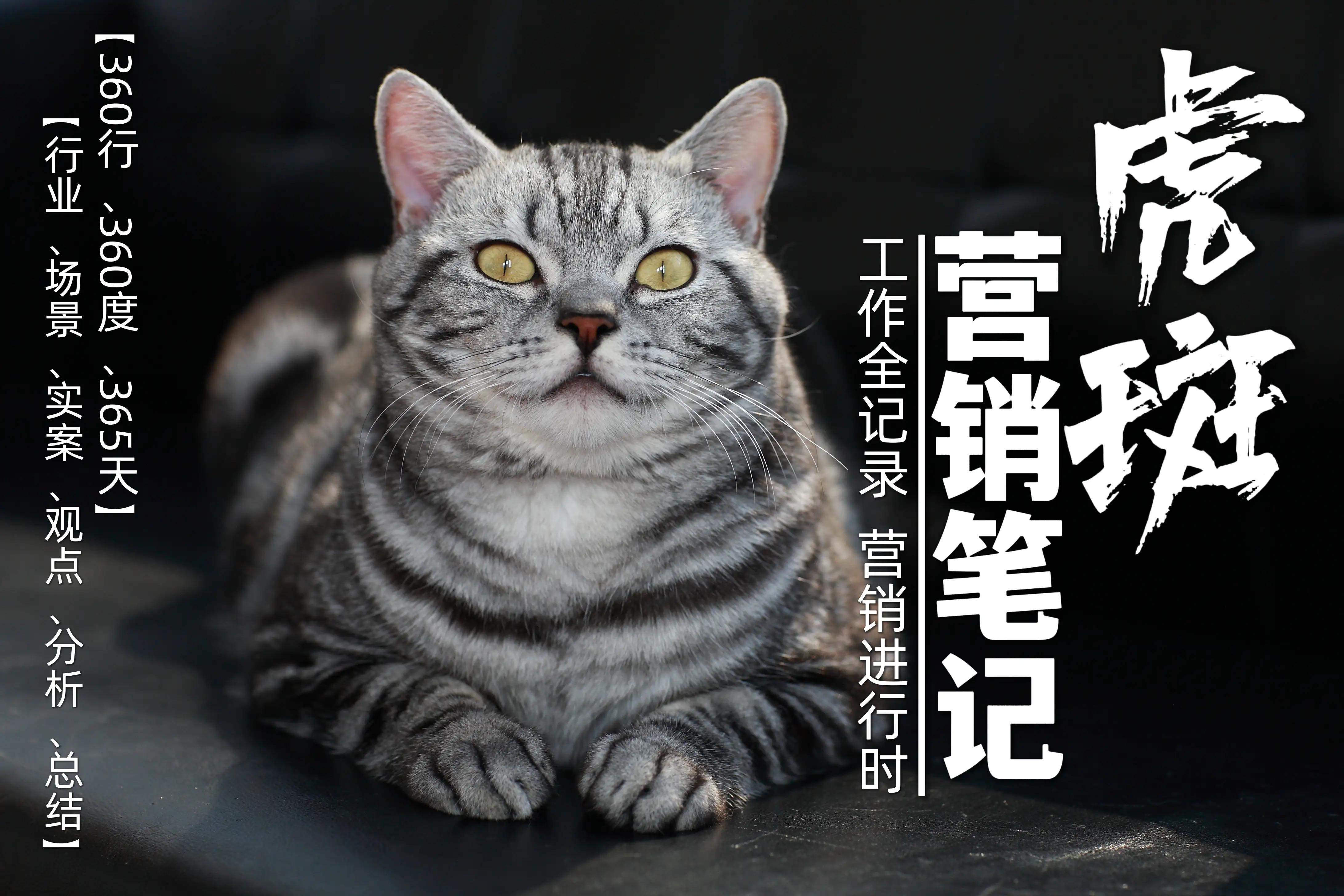 铏庢枒鍒涗笟,铏庢枒钀ラ攢绗旇